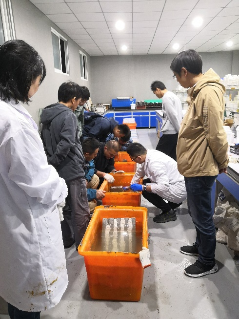 星欧娱乐-科技赋能场景,让平台更有创意!